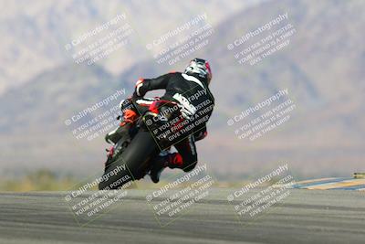 media/Jan-13-2024-SoCal Trackdays (Sat) [[9c032fe5aa]]/Turn 9 Backside (110pm)/